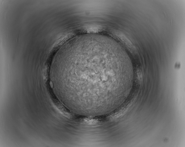 X0000098200311200805011153