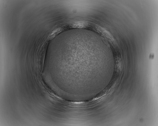 X0000098200312200805011153
