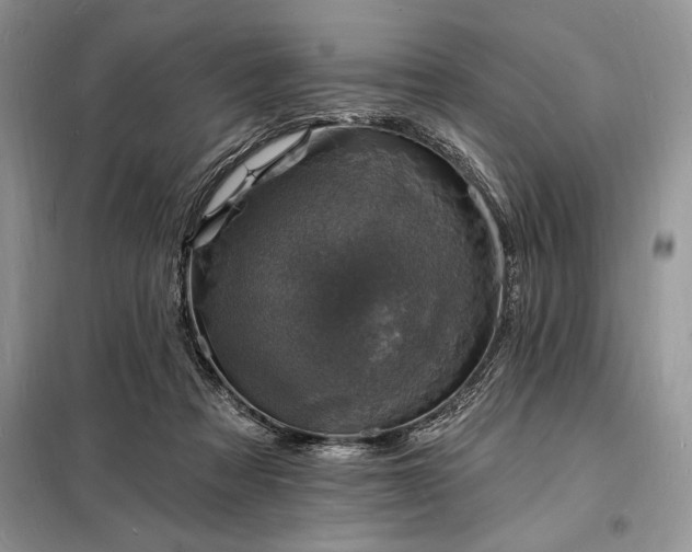 X0000098200313200805011153