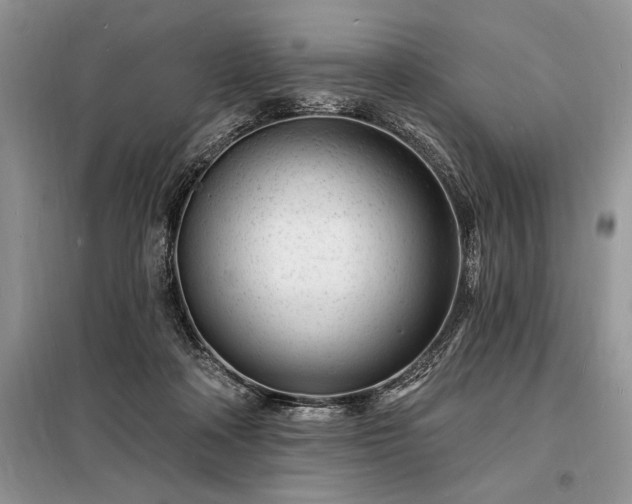 X0000098200314200805011153