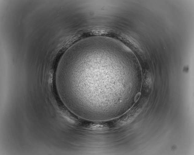 X0000098200315200805011153