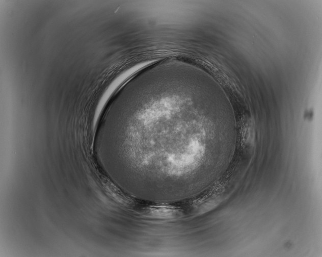 X0000098200316200805011153