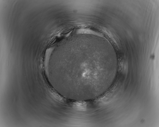 X0000098200317200805011153