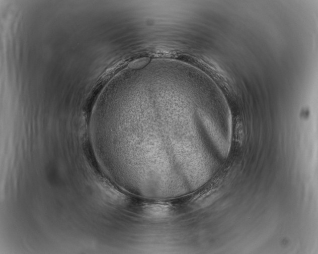 X0000098200318200805011153