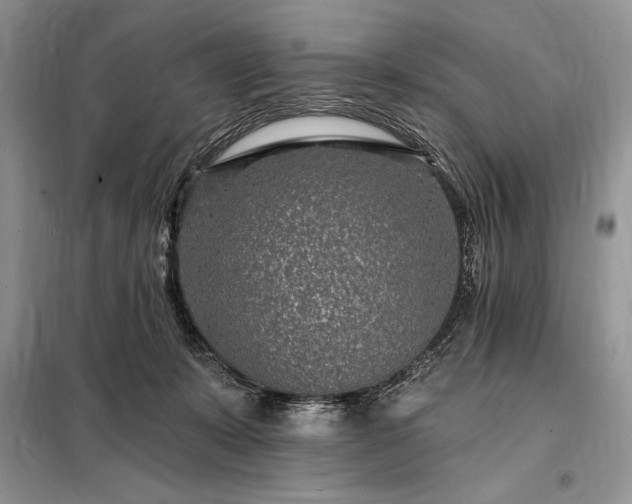 X0000098200319200805011153