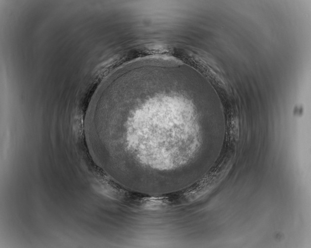 X0000098200320200805011153