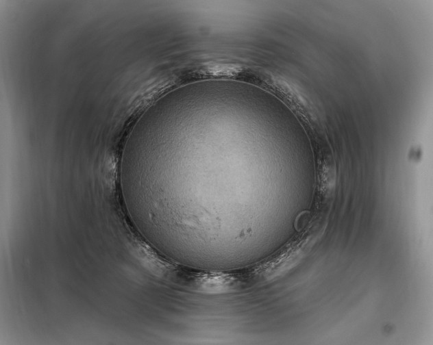 X0000098200321200805011153