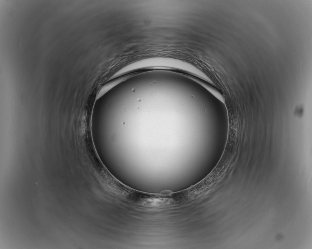 X0000098200323200805011153