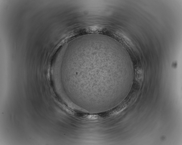 X0000098200324200805011153