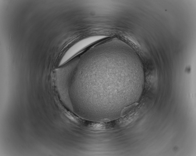 X0000098200325200805011153