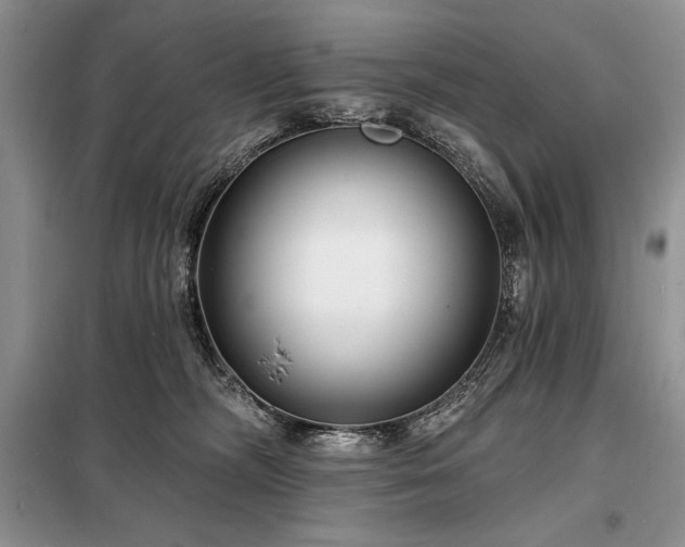 X0000098200326200805011153