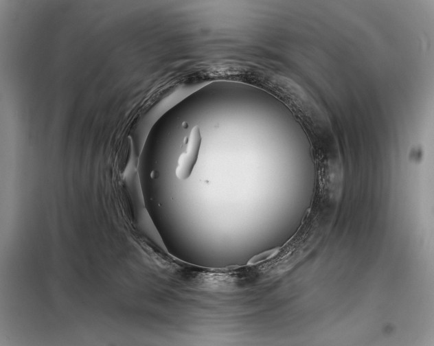 X0000098200327200805011153