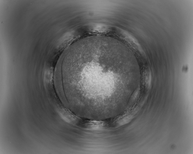 X0000098200328200805011153