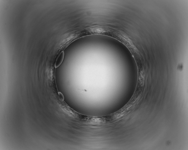 X0000098200330200805011153
