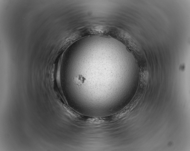 X0000098200331200805011153