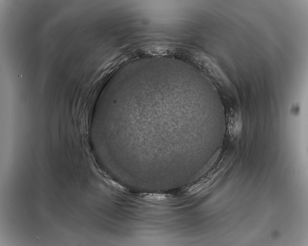 X0000098200332200805011153