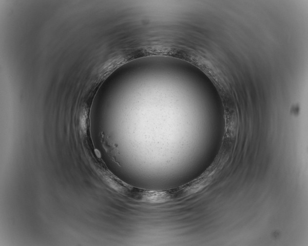 X0000098200334200805011153