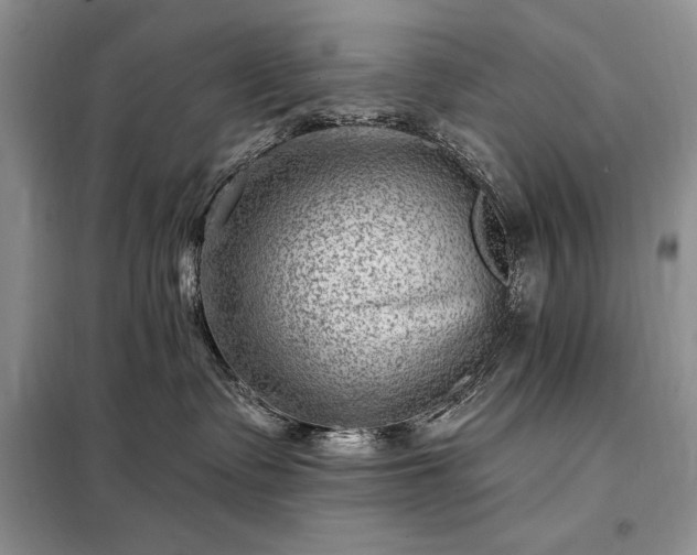 X0000098200335200805011153