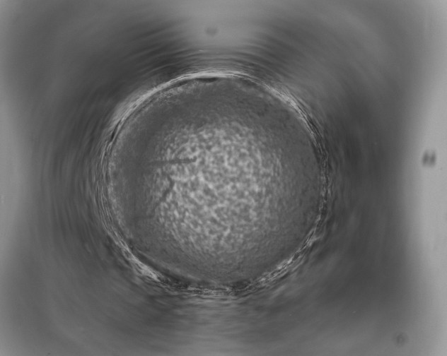 X0000098200337200805011152