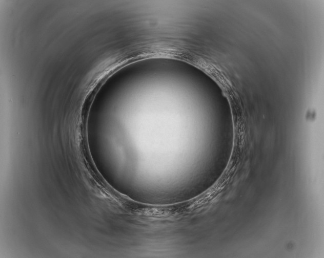 X0000098200338200805011152