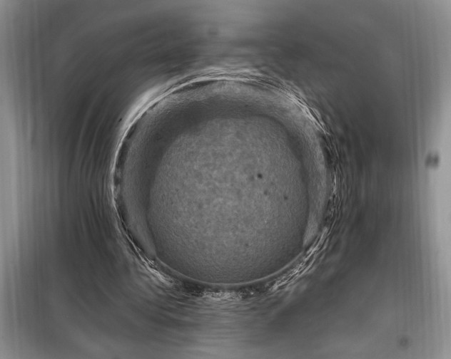 X0000098200340200805011152