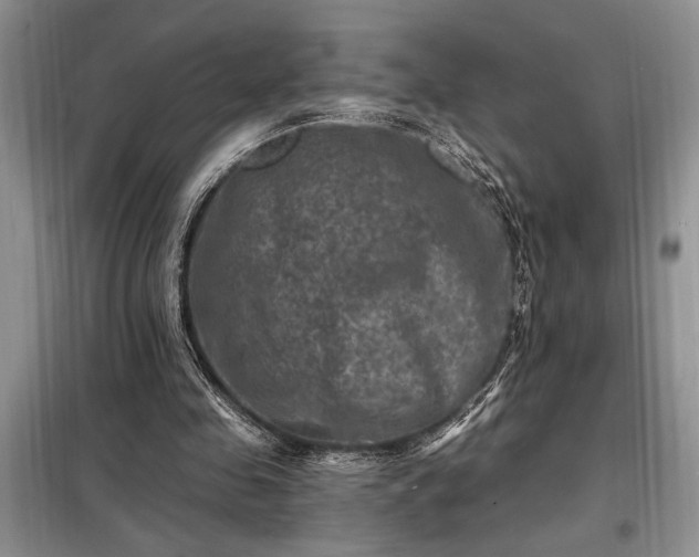 X0000098200341200805011152