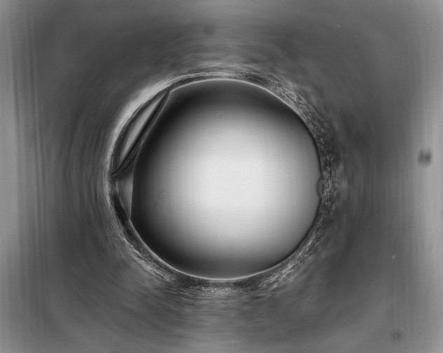 X0000098200342200805011152