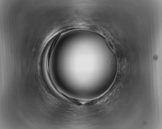 X0000098200344200805011152