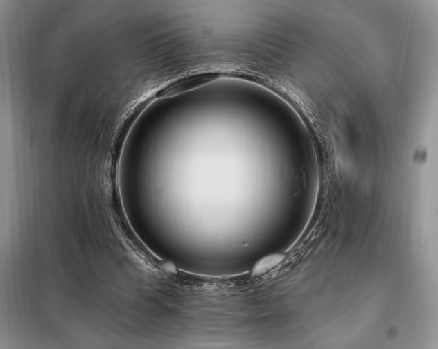 X0000098200345200805011152