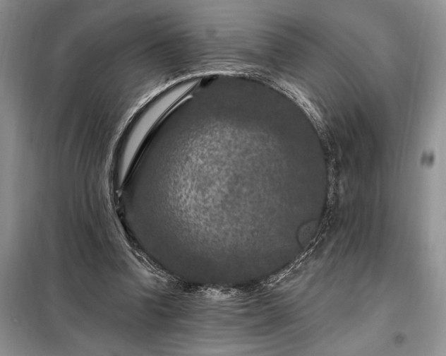X0000098200346200805011152