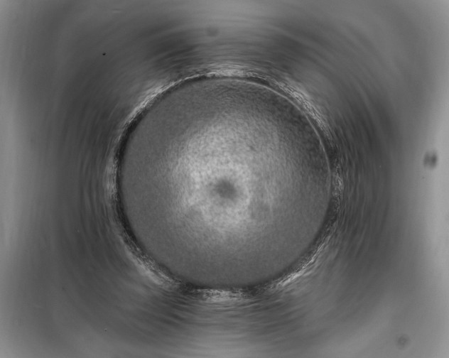 X0000098200347200805011152
