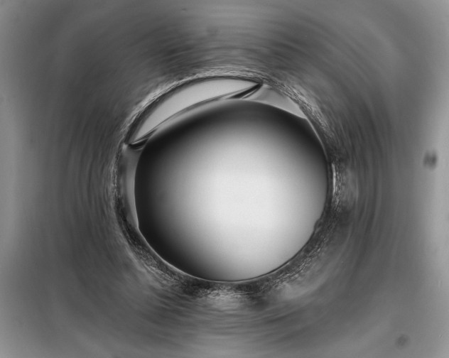 X0000098200348200805011152