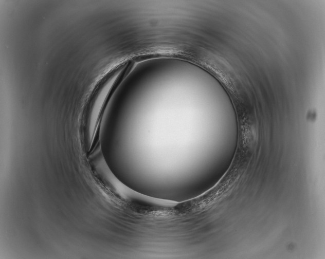 X0000098200350200805011152