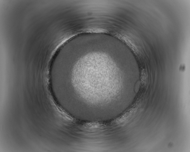 X0000098200351200805011152