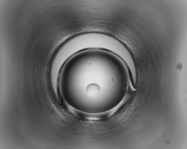 X0000098200352200805011152