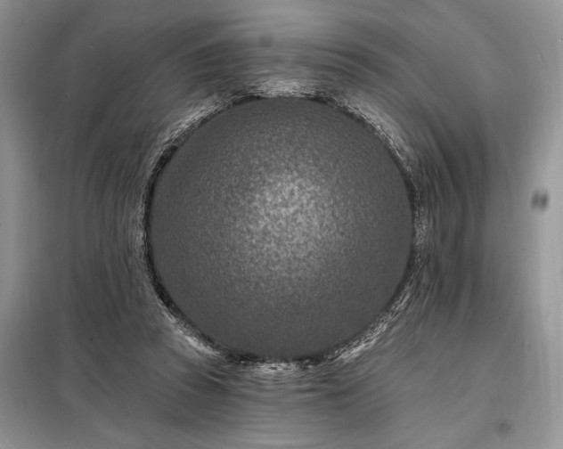 X0000098200353200805011152