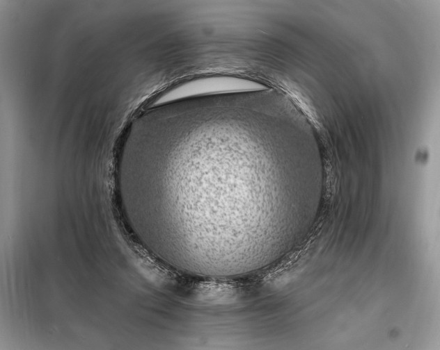 X0000098200354200805011152
