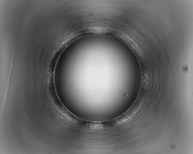 X0000098200355200805011152