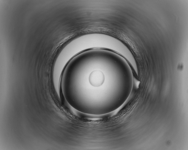 X0000098200356200805011152