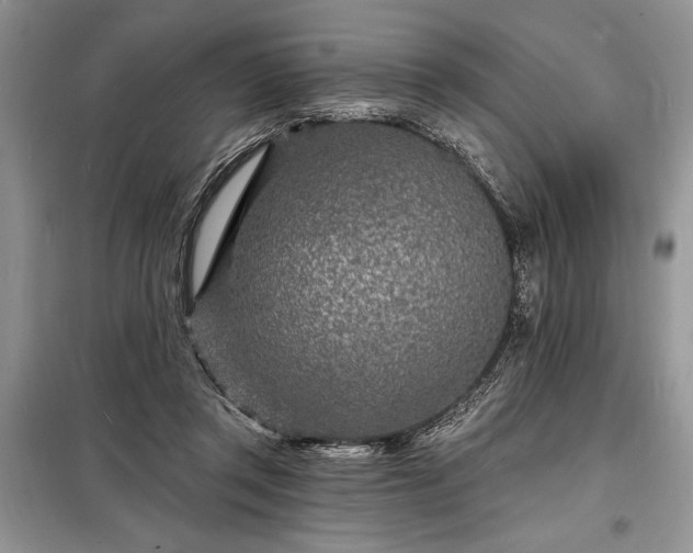 X0000098200357200805011152