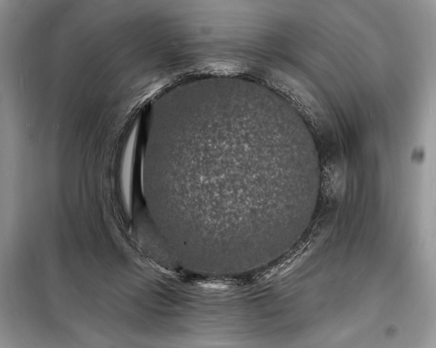 X0000098200358200805011152