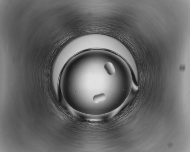 X0000098200360200805011152