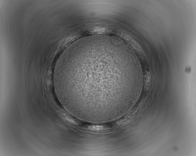 X0000098200361200805011152