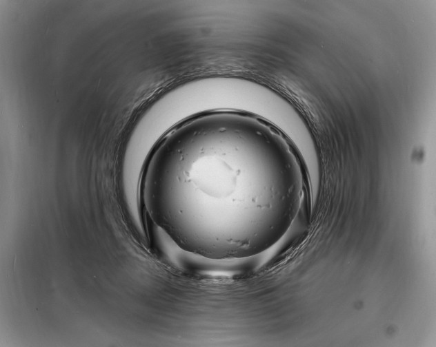 X0000098200362200805011152