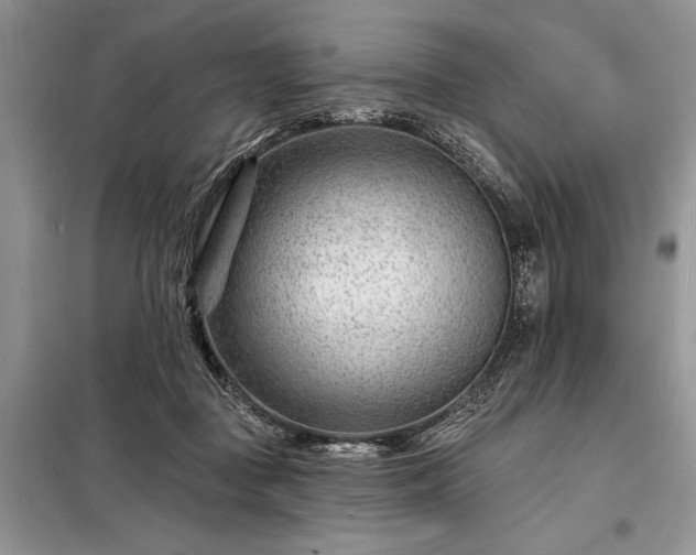X0000098200363200805011152