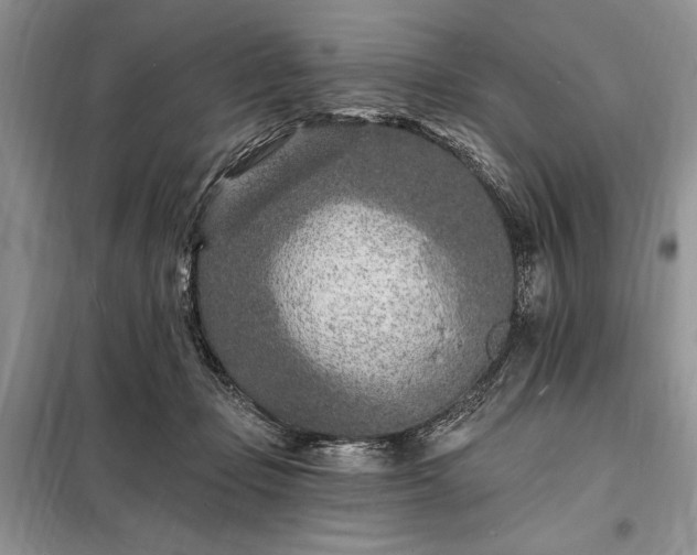 X0000098200365200805011152