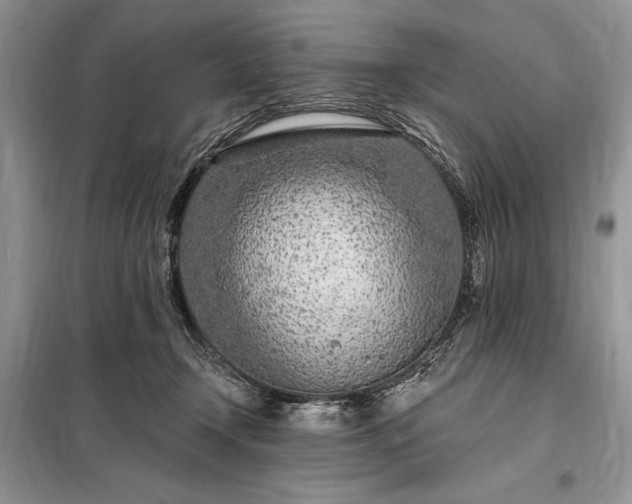 X0000098200366200805011153