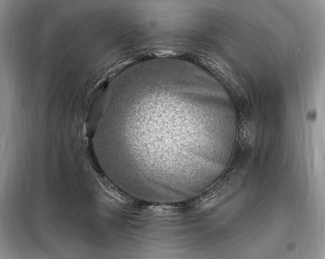 X0000098200367200805011153