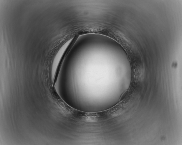 X0000098200368200805011153
