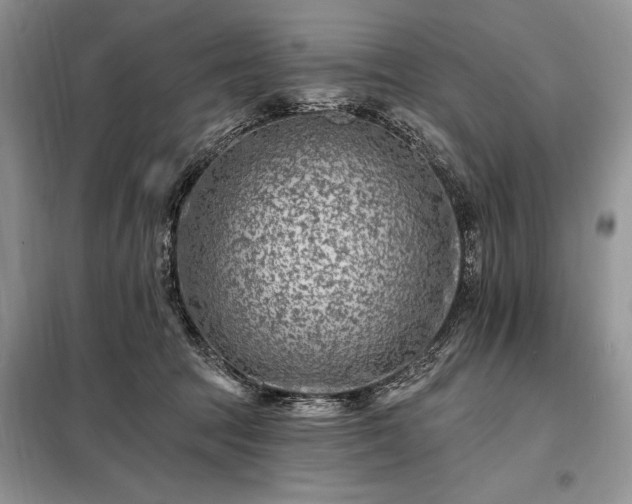 X0000098200369200805011153